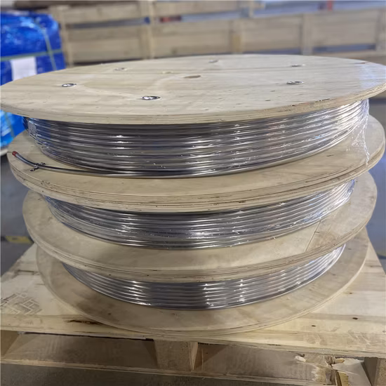 스테인레스 스틸 316L 원활한 코일 튜브 공급 업체