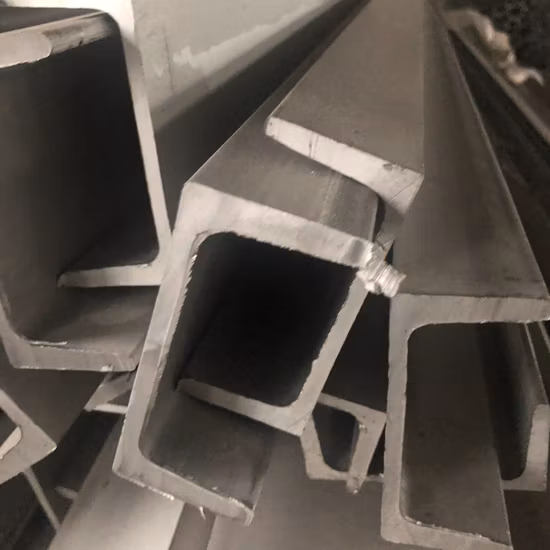 스테인레스 스틸 스프링 와이어 특수 모양의 스테인레스 스틸 프로파일 와이어